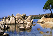 天涯论坛的别墅装修秘籍：那些你绝对不能错过的神贴！